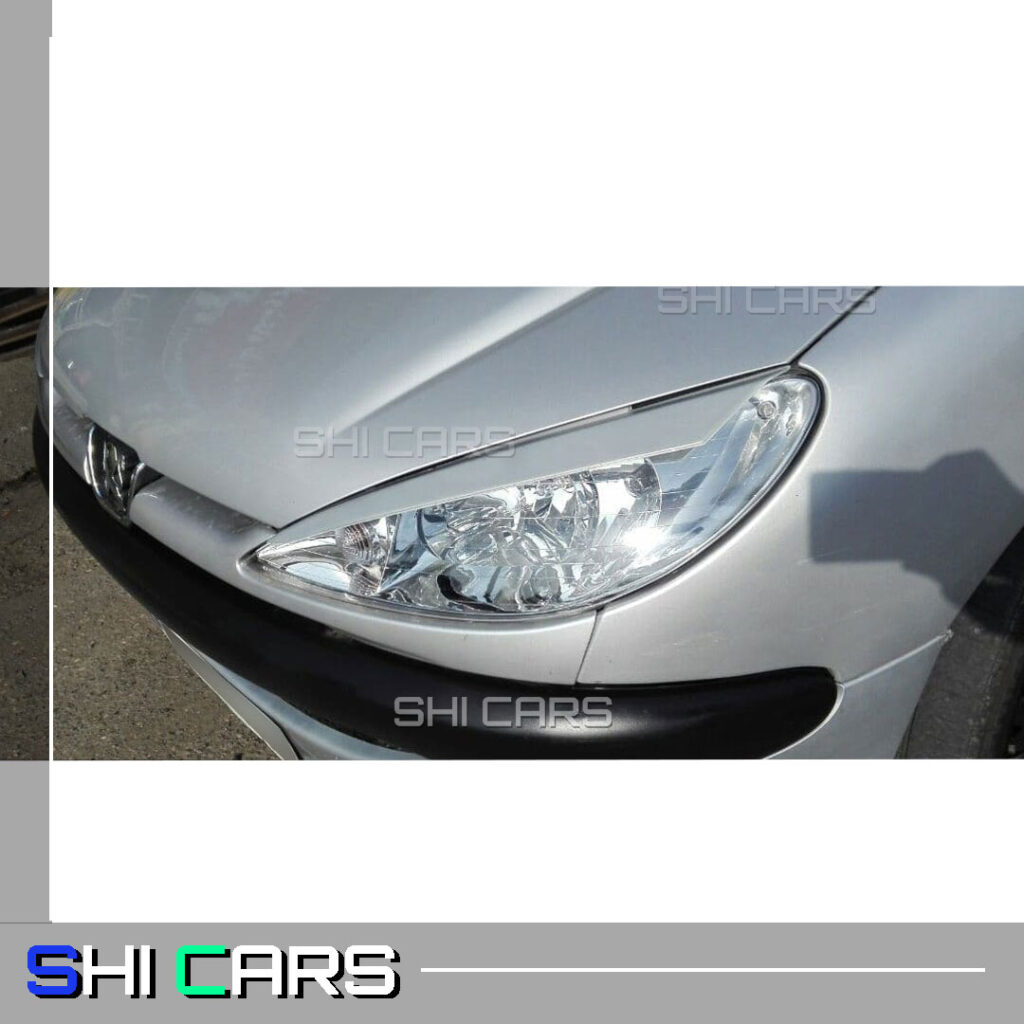 ابرویی چراغ جلو 206 رنگبندی کامل - شیکارز