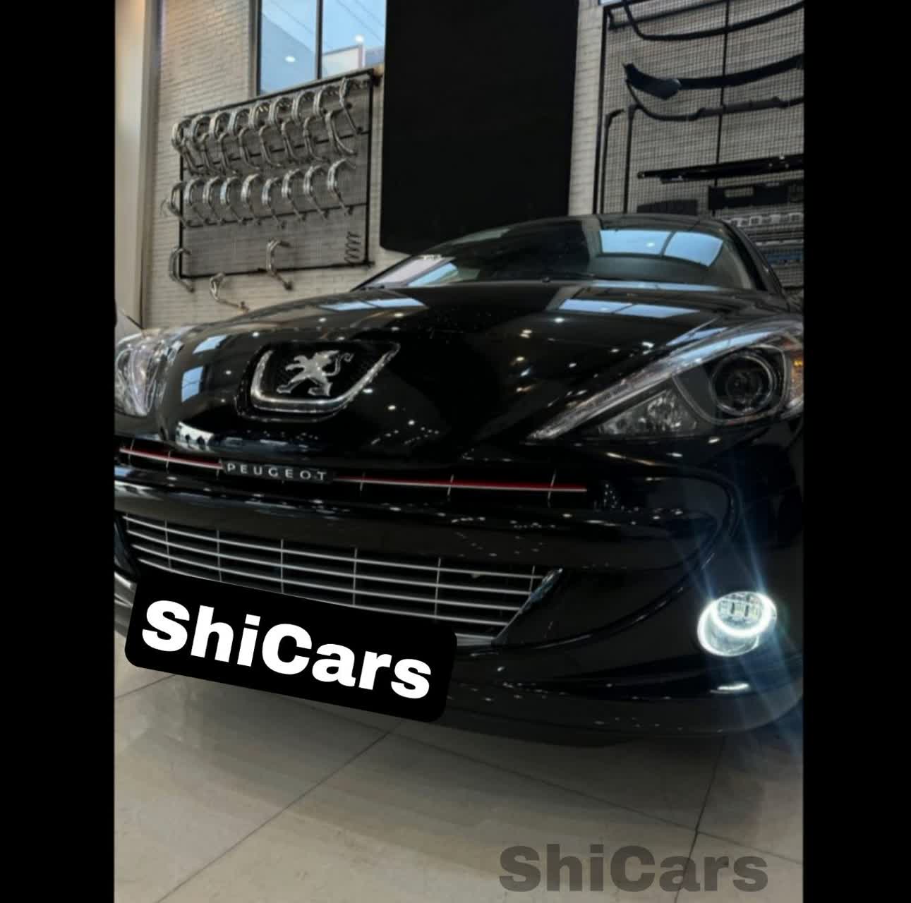 توری سپر جلو اسپرت پژو 207 در رنگبندی کامل - شیکارز