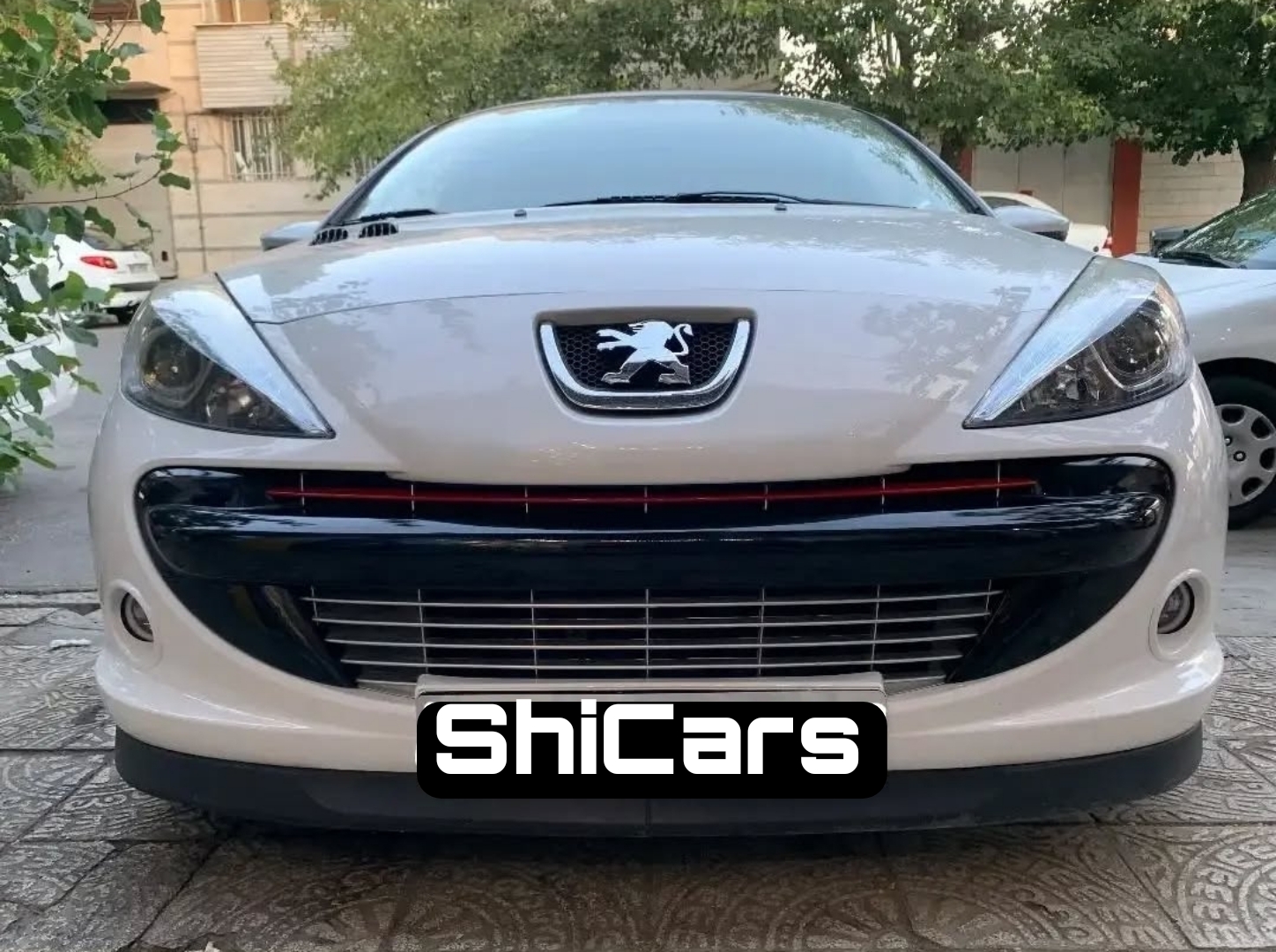 توری سپر جلو اسپرت پژو 207 در رنگبندی کامل - شیکارز